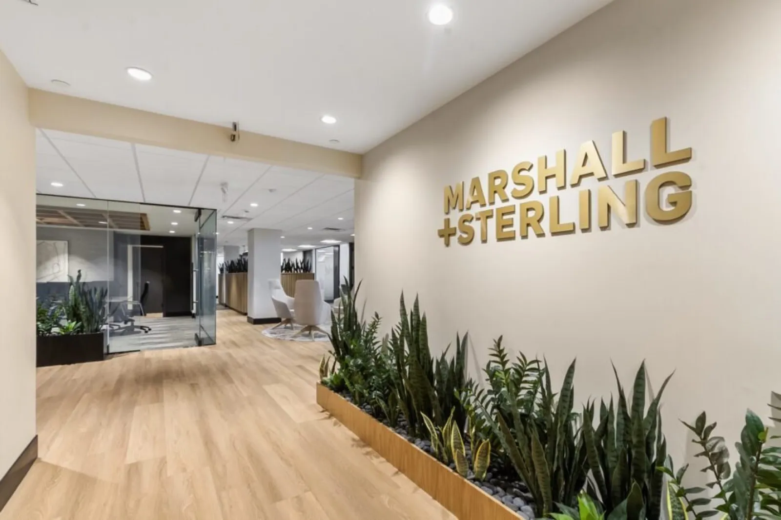 Open-plan workstations at Marshall + Sterling